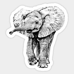 Irresistible Baby Elephant | African Wildlife Sticker